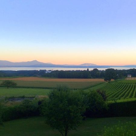 Le Chateau Lavigny Exteriör bild
