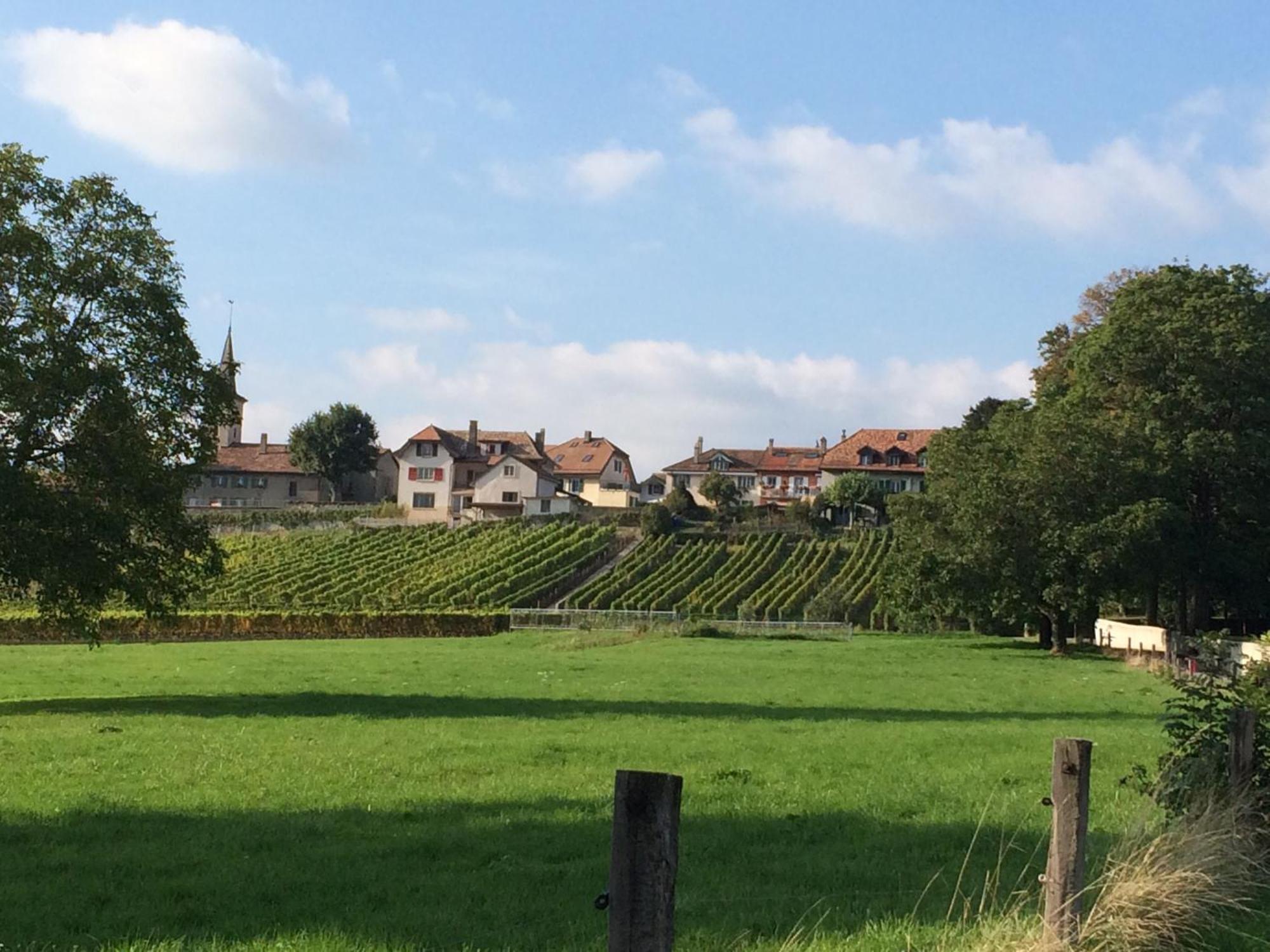 Le Chateau Lavigny Exteriör bild