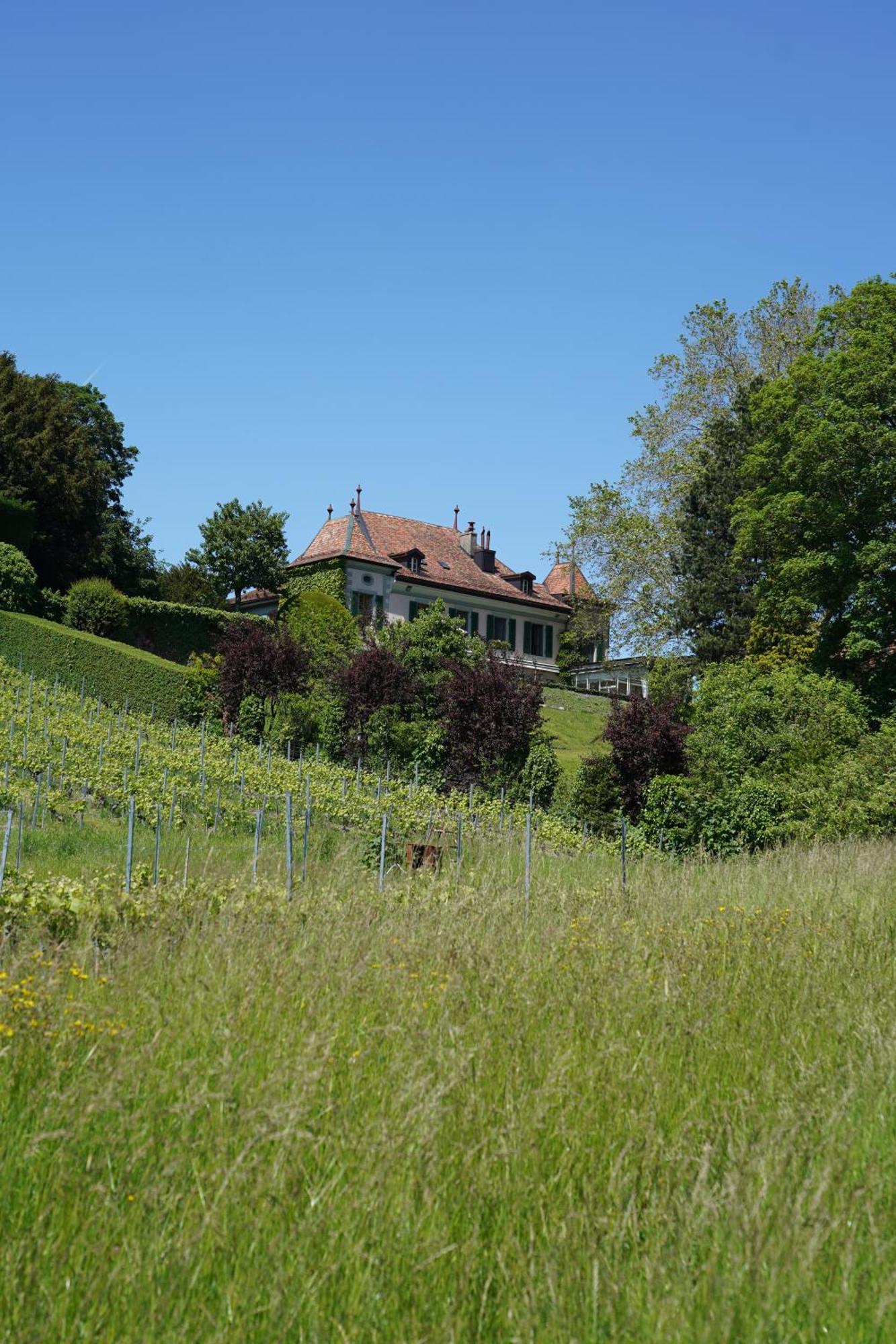 Le Chateau Lavigny Exteriör bild