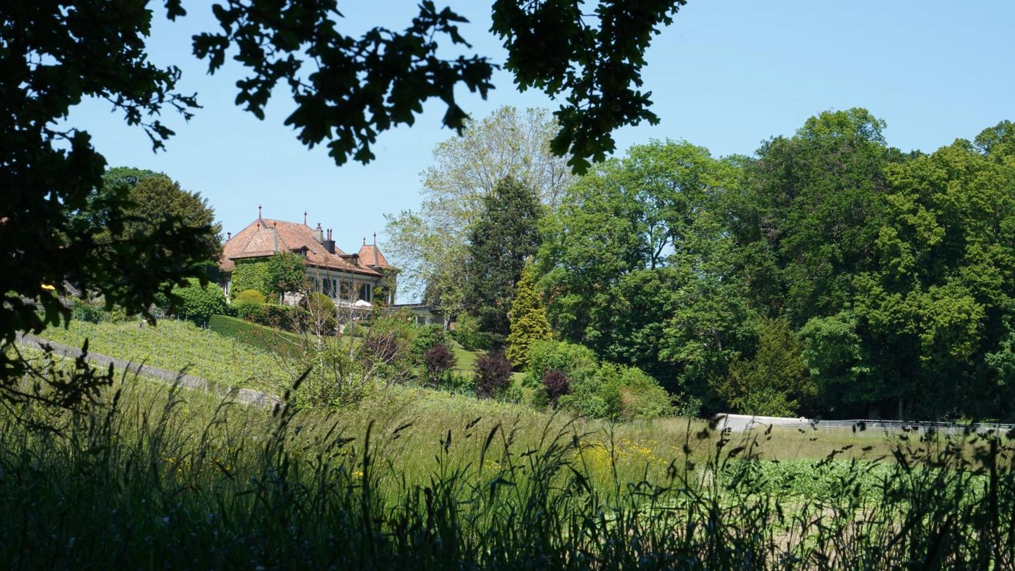 Le Chateau Lavigny Exteriör bild